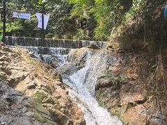 -南海湾森林生态园