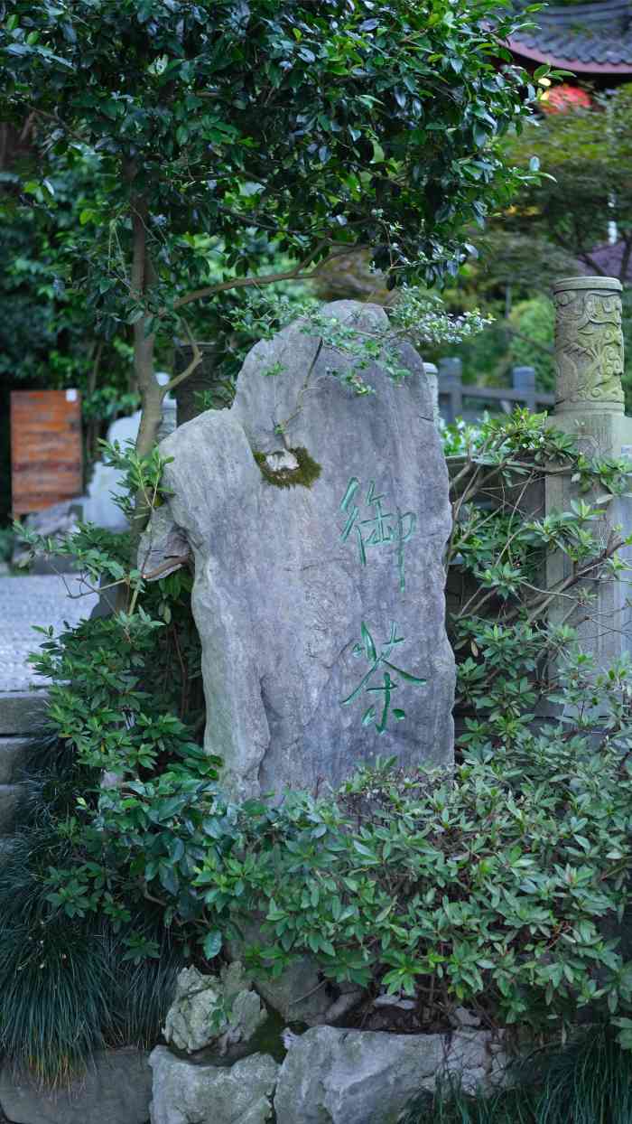 十八棵(老龙井)御茶园(老龙井店)-"年底了,又一次和领导来的老龙井