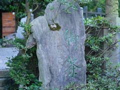 -十八棵（老龙井）御茶园(老龙井店)