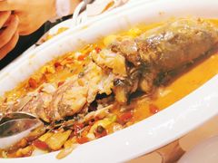 -阿五黄河大鲤鱼(英协路店)
