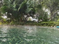 -海兰云天度假区温泉