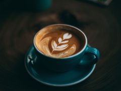 -腾爱熊猫咖啡生活馆(老东门店)