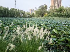 -南翠屏公园