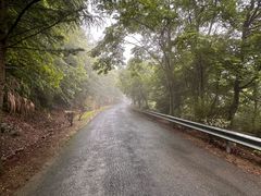 -东天目山风景区