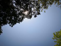 -中国人民解放军海军第九七一医院