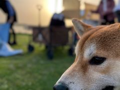 -梁子湖东篱老屋生态庄园