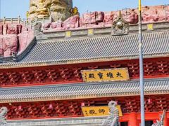 -上海东林寺(金山区)