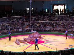 -西安秦岭野生动物园