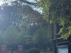 -上海佘山国家森林公园天马山园