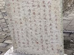 -上海佘山国家森林公园天马山园