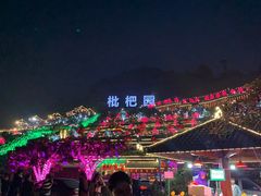 -枇杷园食为鲜火锅(南山店)