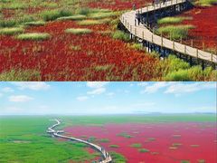 -红海滩国家风景廊道