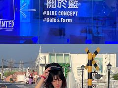 -Blue Concept Cafe&Farm·關於藍