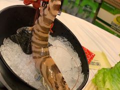 -鲜入围煮花胶鸡海鲜火锅