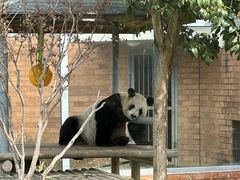-苏州太湖国家湿地公园