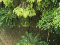 -福建鲤鱼洲酒店