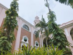 -香港大学
