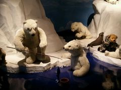 -成都泰迪熊博物馆