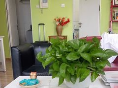 -猫头鹰照相馆(国贸店)