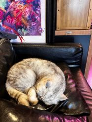 -729CLUB美式风格纹身店