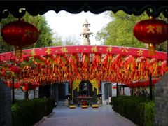 -大槐树寻根祭祖园