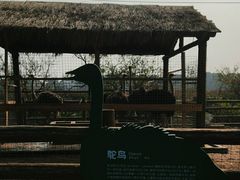 -苏州太湖西山岛开心农场