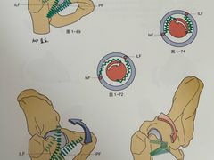 -加伍磅健身(千树店)