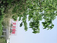 -苏州城市学院