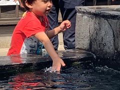 -丰悦养生·足浴·SPA(嘉庚店)