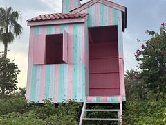 -东南花都花博园