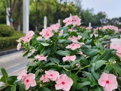 -城市运动公园(未央区)