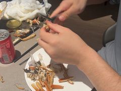 -曲水兰亭(北京四惠店)