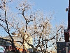 -糖房咖啡(南锣鼓巷店)