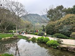 -中国茶叶博物馆(双峰馆区)