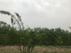 -洨河生态公园