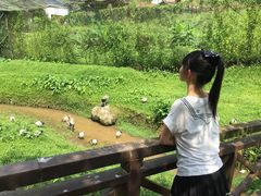 -吉隆坡雀鸟公园