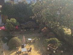 -大可堂普洱茶馆(襄阳南路馆)