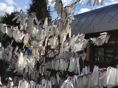 -和平宫