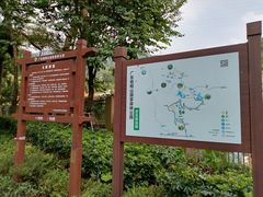 -梧桐山风景名胜区