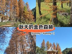 -广州市石门国家森林公园