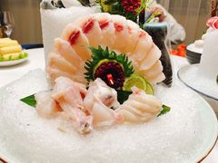 涮食河豚鱼-鲐赏河豚(长寿店)