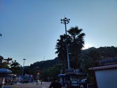 -重庆海昌加勒比海水世界