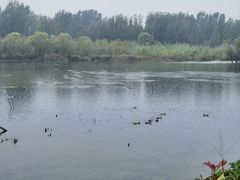 -淇河国家湿地公园