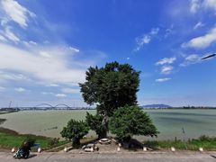 -八仔大富楼·河鲜(西江店)