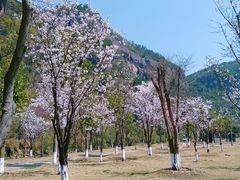 -十九峰景区