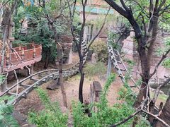 -北京欢乐谷