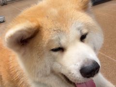 -YCHL Studios健身工作室(市二宫店)