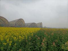 -中国天府农业博览园