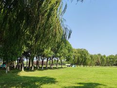 -阳澄湖半岛旅游度假区