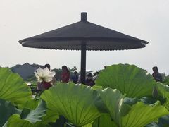 景点-梁鸿国家湿地公园